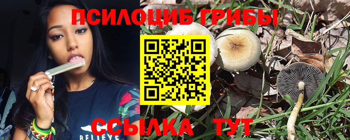 Галлюциногенные грибы Magic Shrooms Анапа